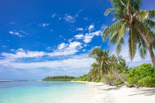 Le rôle du camping sauvage dans le tourisme durable