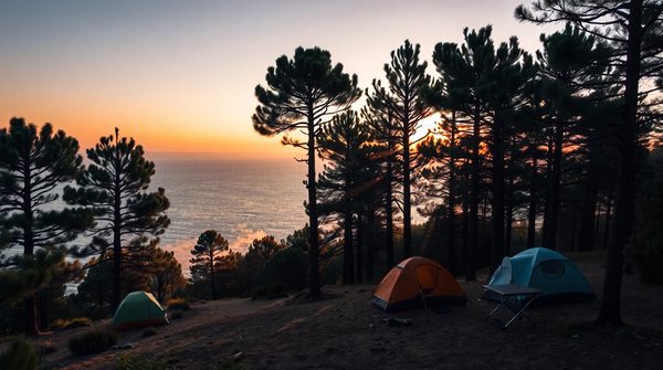 Camping à Argelès-sur-Mer : votre séjour de rêve vous attend!